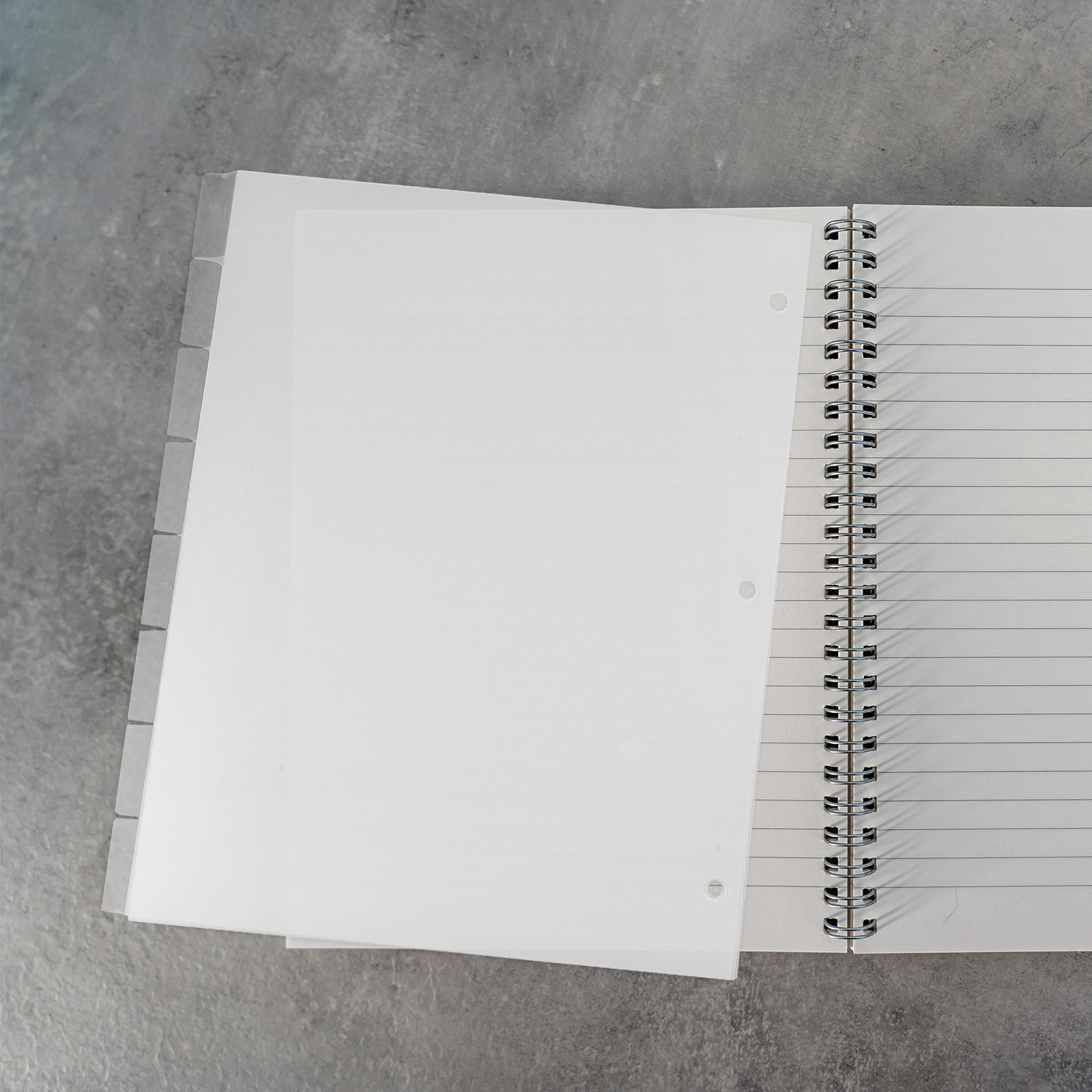 Index Tab Divider - 8Sheets Index Dividers Stylish Plastic Binder