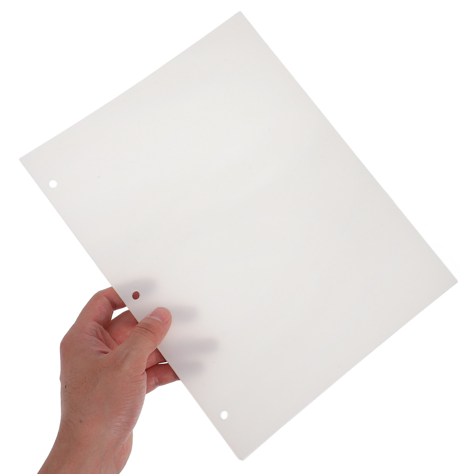 8Sheets PP Index Dividers for  - Index Tab Divider review and price