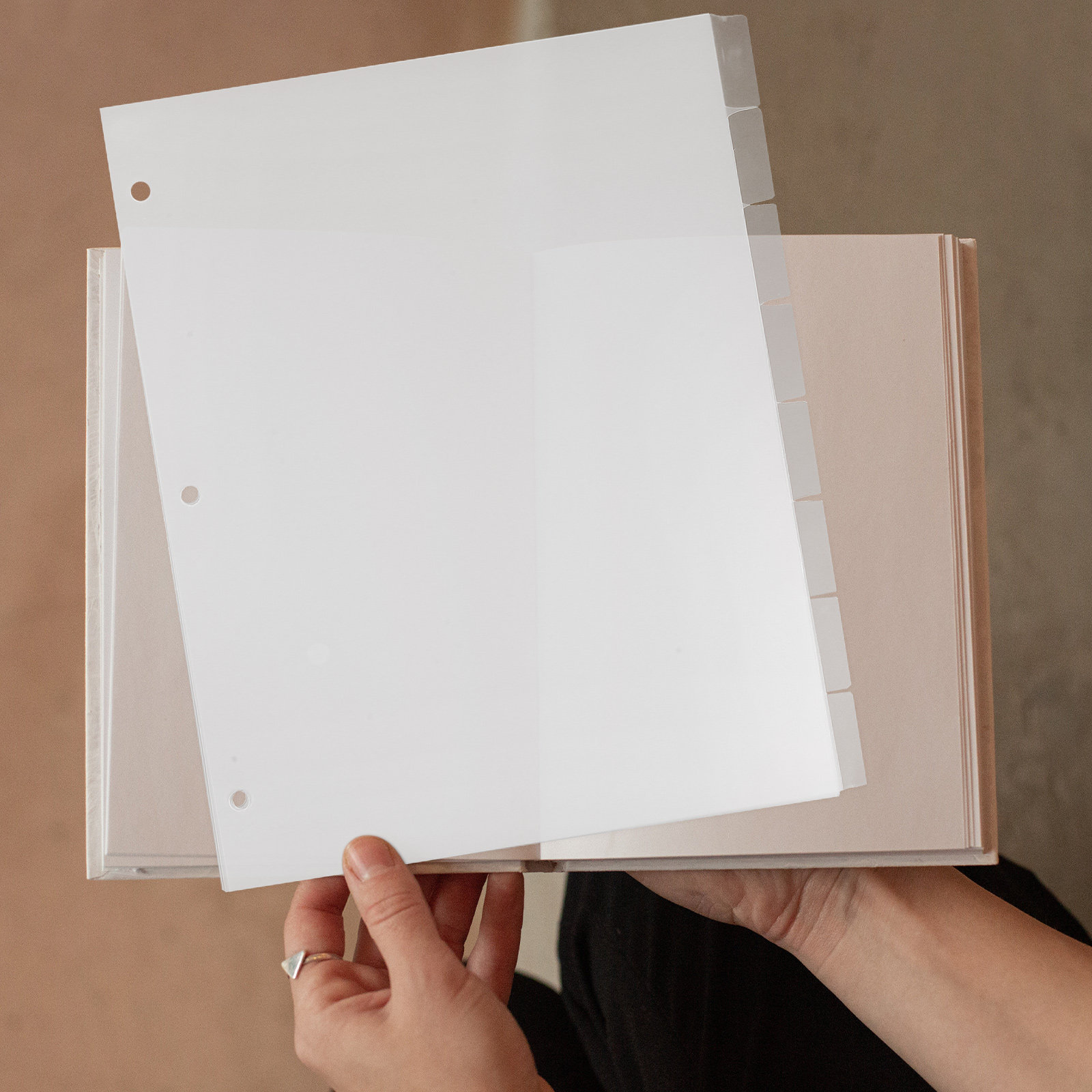 8Sheets PP Index Dividers for  - Index Tab Divider review and price