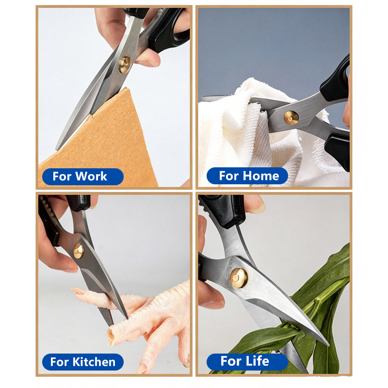 Stainless Steel Scissors Manga - Scissors Stainless Craft review and price