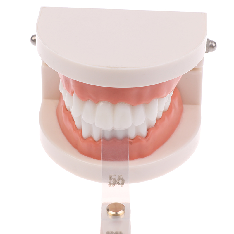/ACR/Dental Interproximal Redu - Ruler Set Transparent review and price
