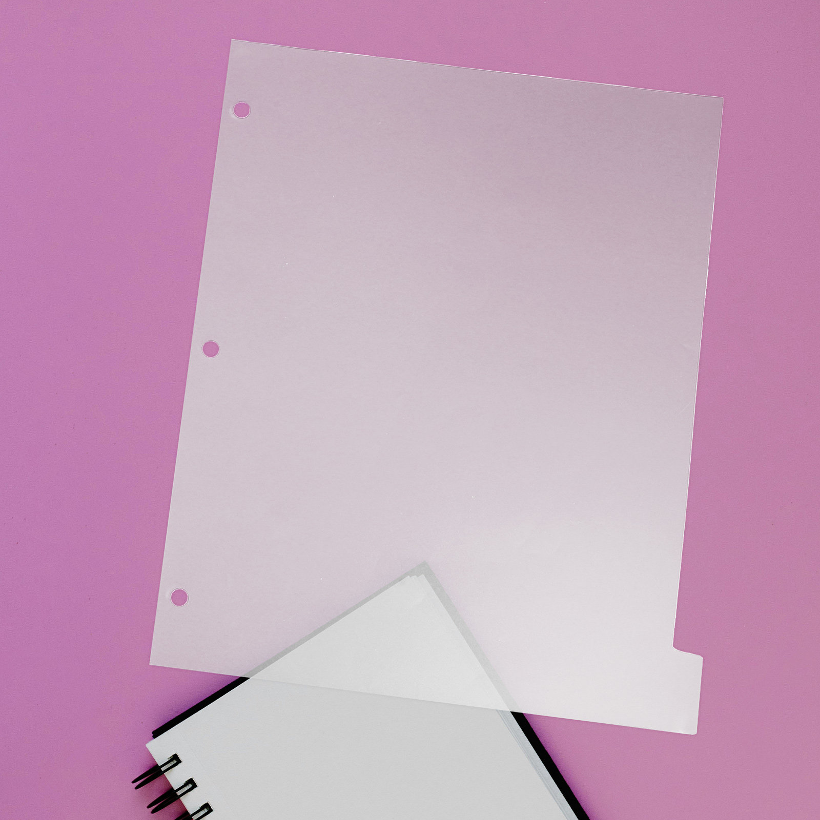 8Sheets Index Dividers Stylish - Index Tab Divider review and price